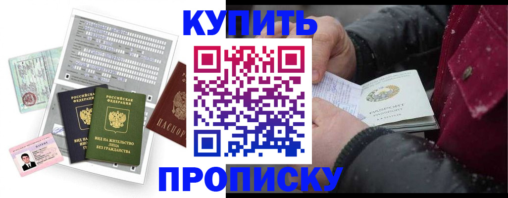 прописка поиск в Зеленогорске